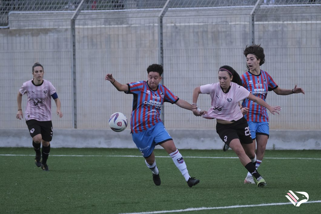 dsf07-2