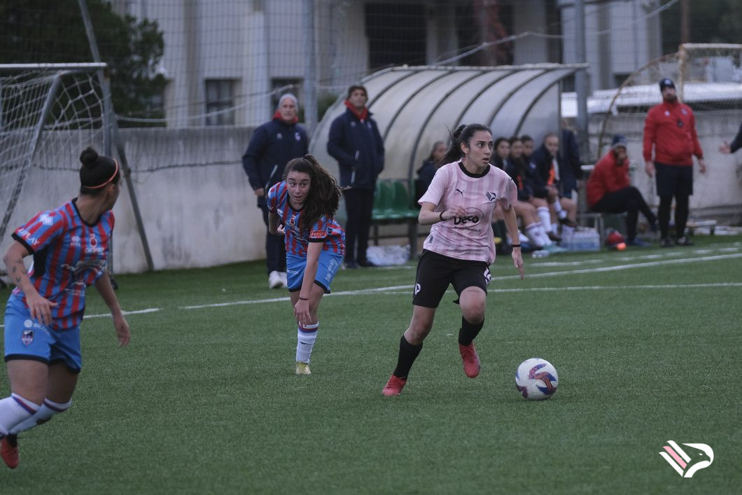 dsf10-2