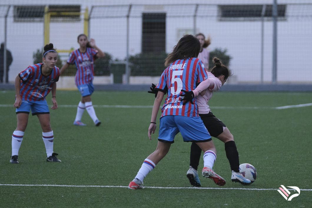 dsf14-2