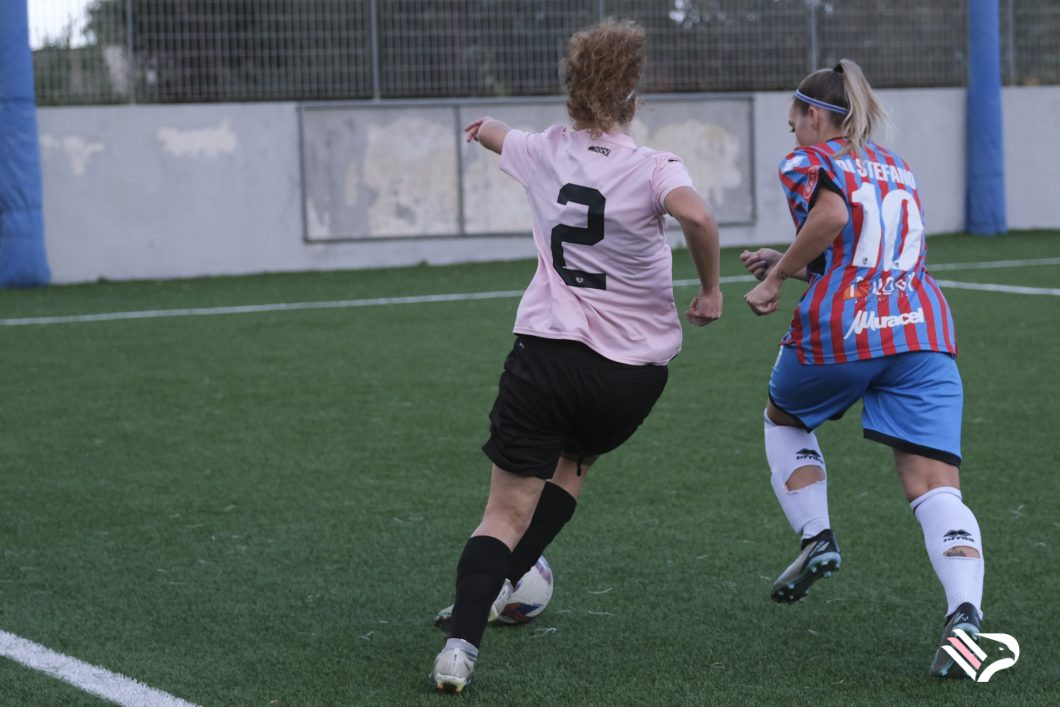 dsf19-2