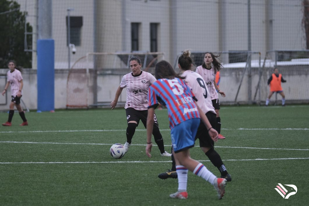 dsf20-2