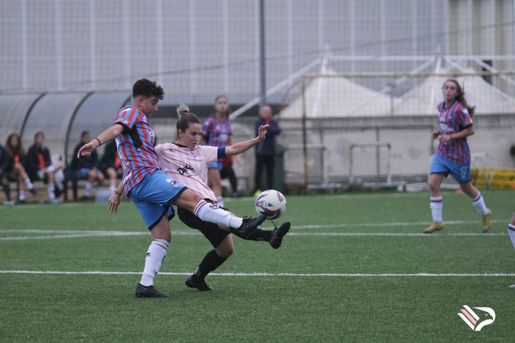 dsf23-2