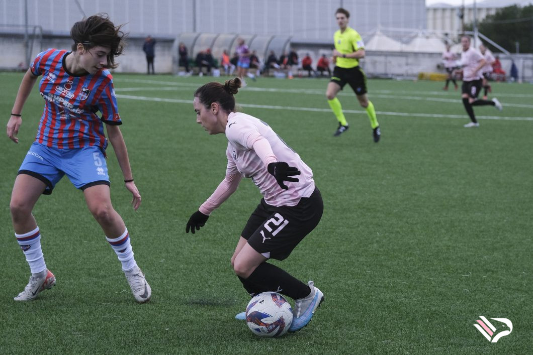 dsf31-2