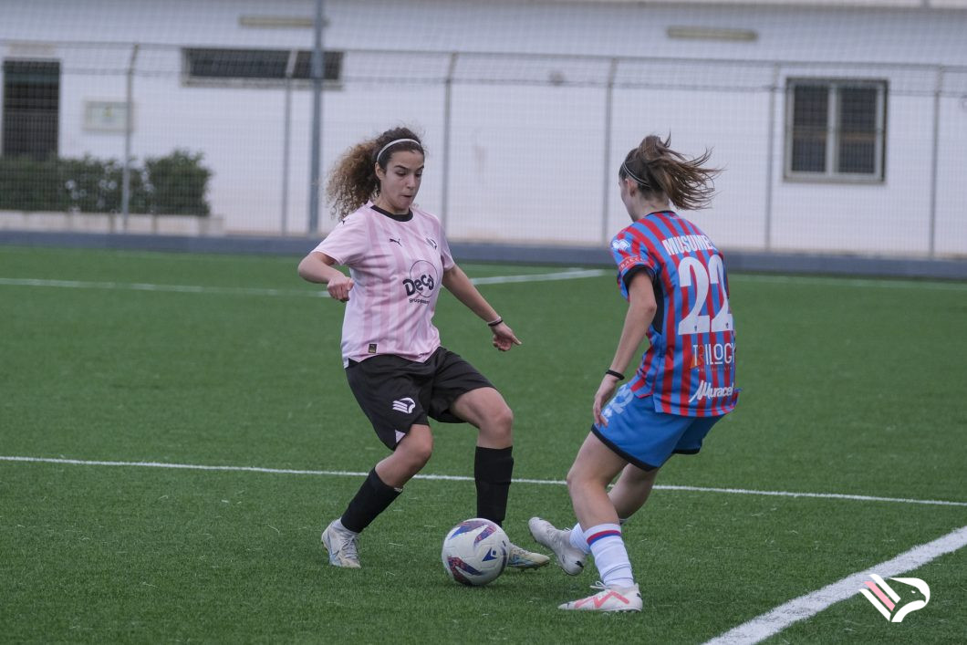 dsf33-2