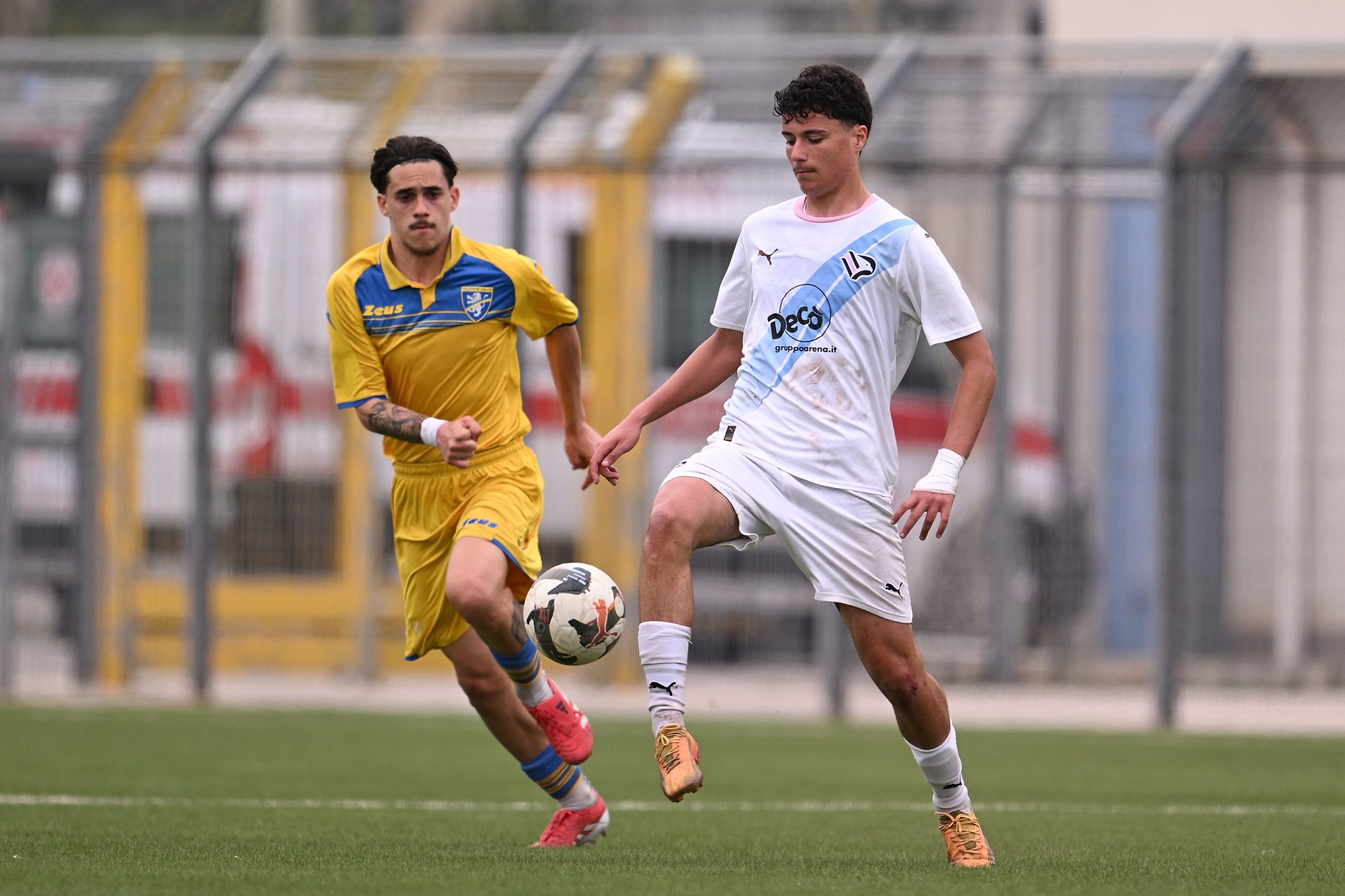 palermo-fc-vs-frosinone-campionato-under-17-2