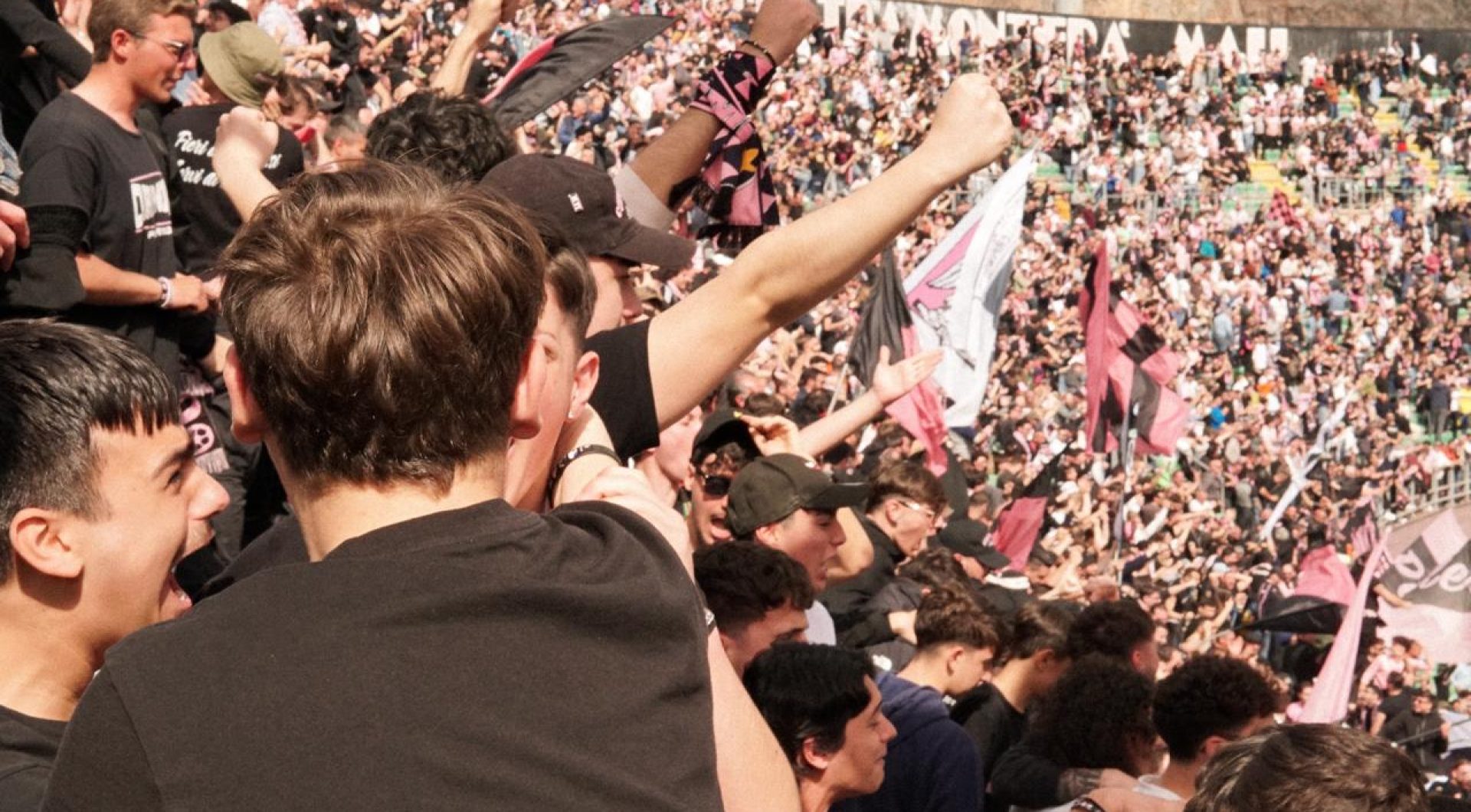 tifosi-2