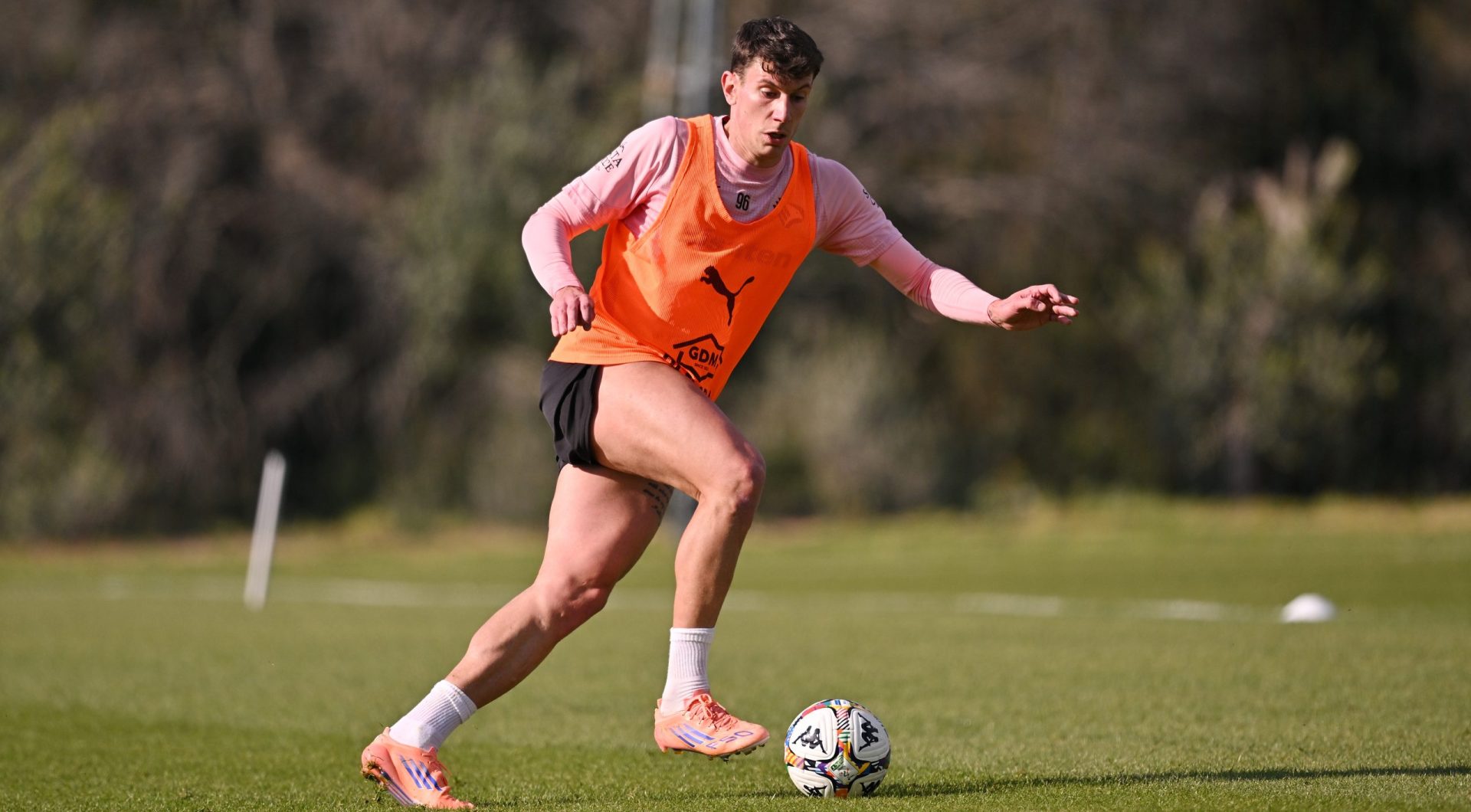 allenamento-palermo-cfa-175