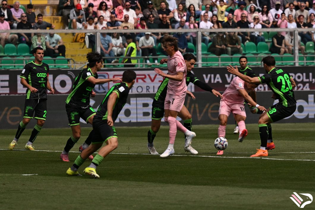 palermo-vs-catanzaro-serie-b-122