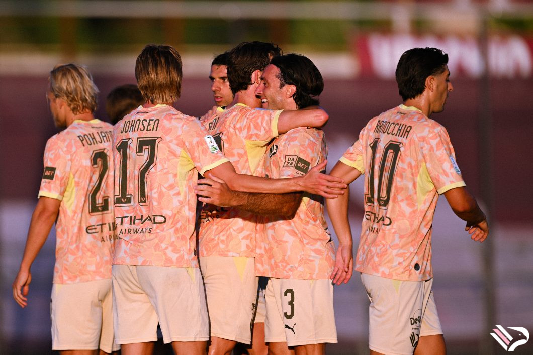 partita-arezzo-vs-palermo-serie-b-3