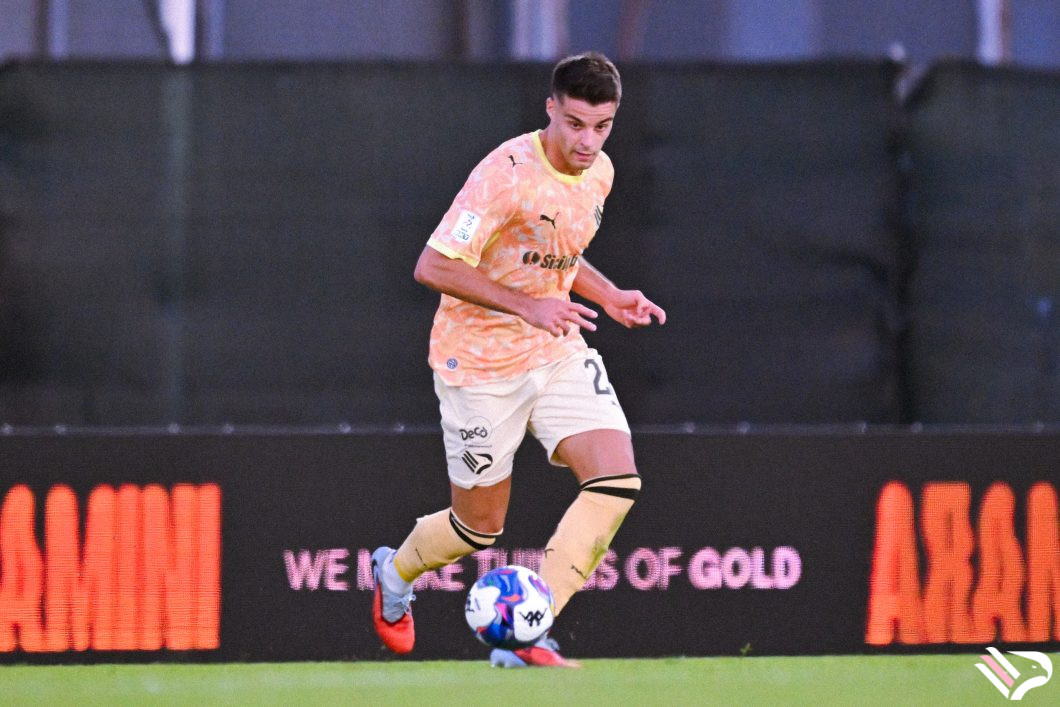 partita-arezzo-vs-palermo-serie-b-17