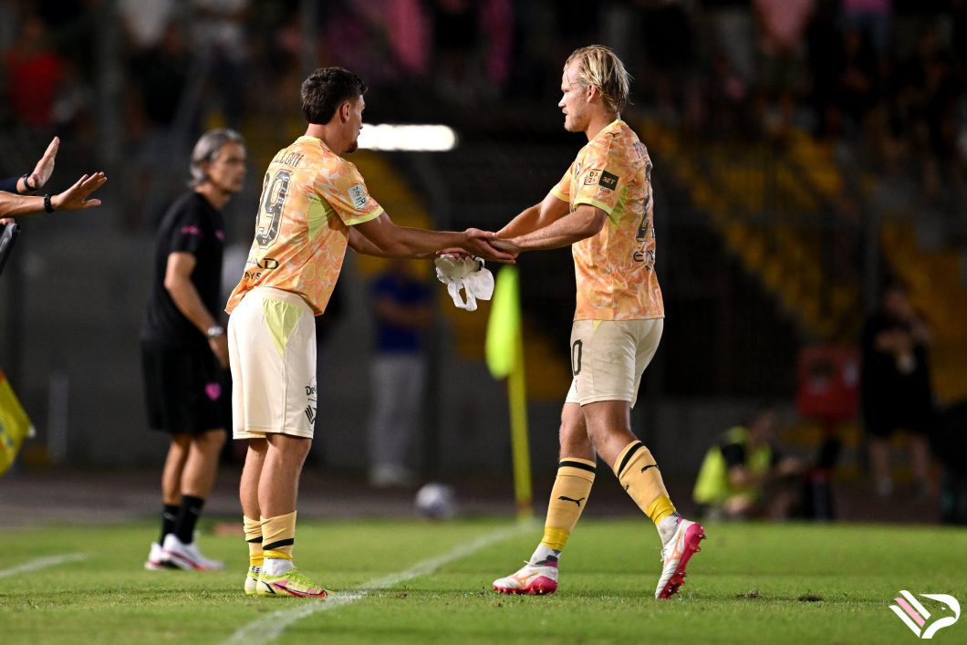 partita-arezzo-vs-palermo-serie-b-31