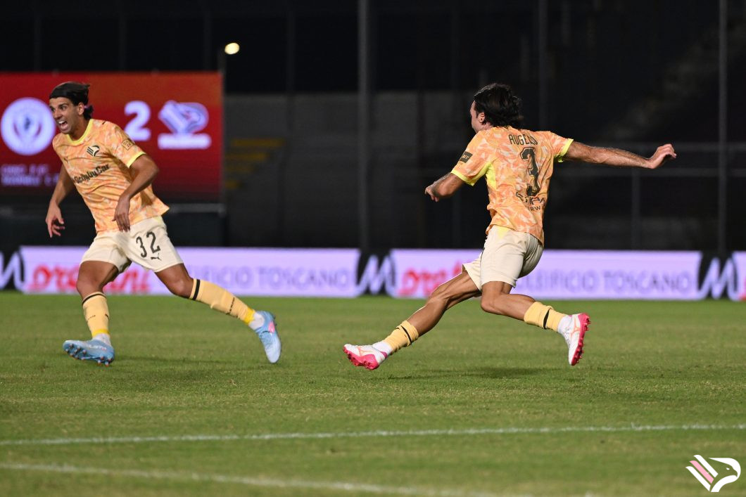 partita-arezzo-vs-palermo-serie-b-15