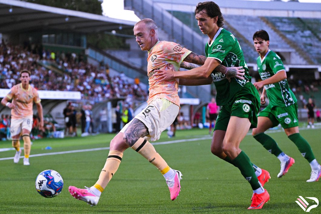avellino-vs-palermo-serie-b-59