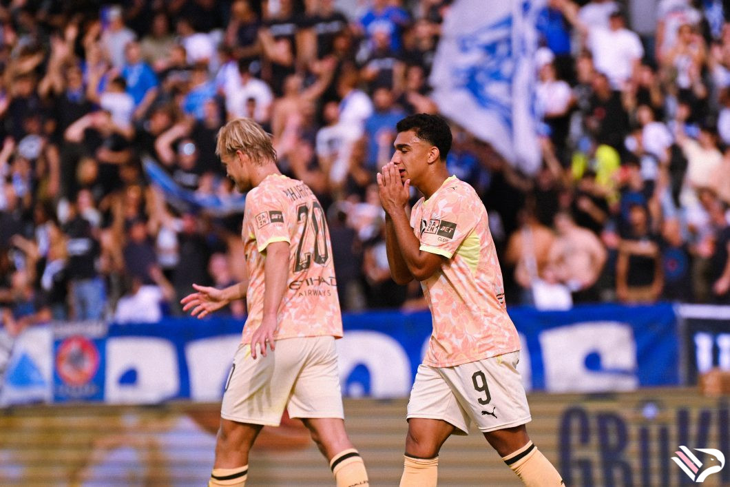 empoli-vs-palermo-fc-serie-b-52-2