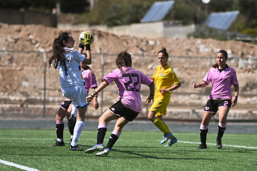 tp1_7019-jpg