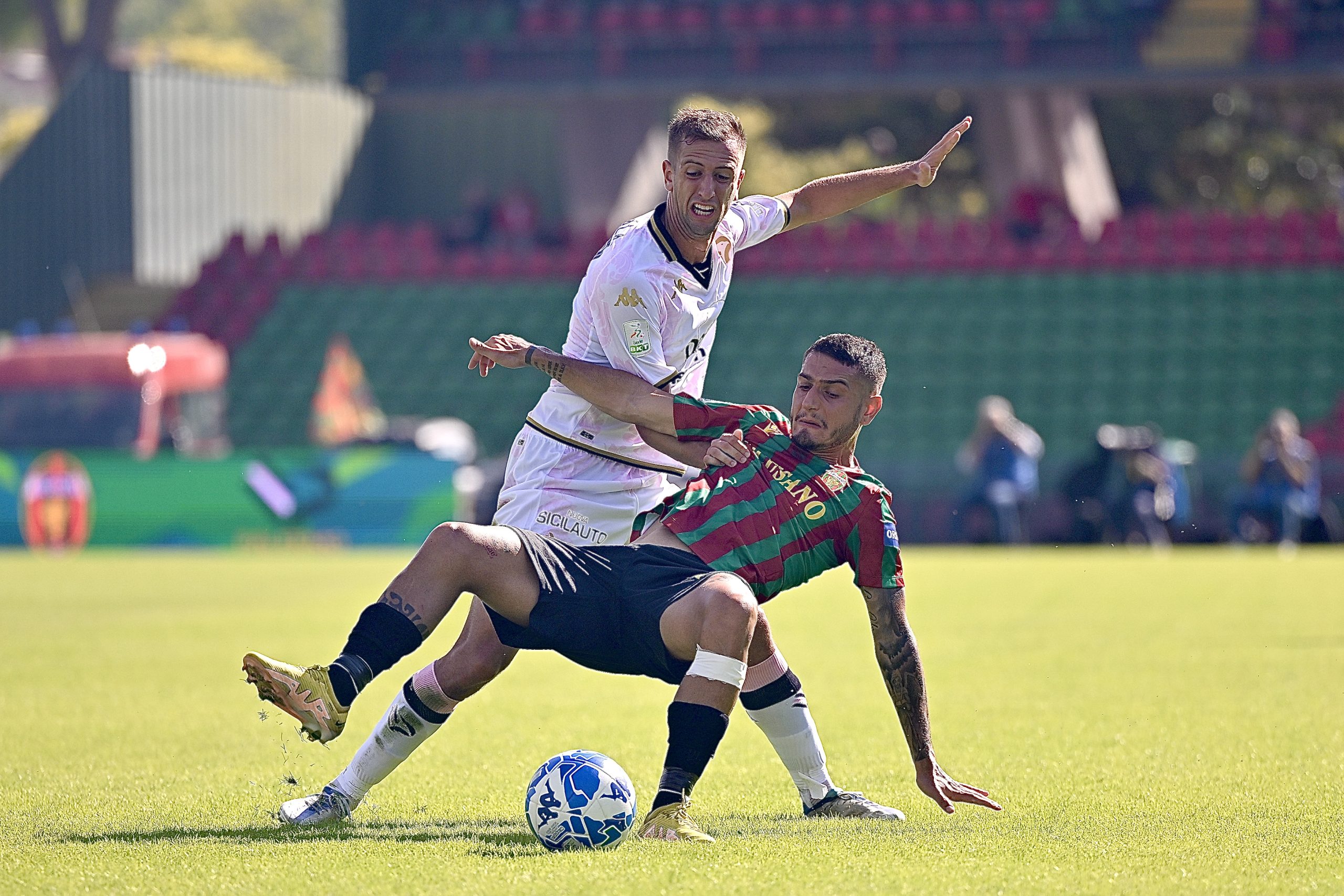 6c8c1448-940d-466a-85a2-20ec338aeaba-jpeg